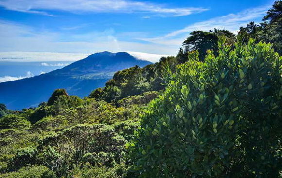 Rundreise Naturparadies Costa Rica
