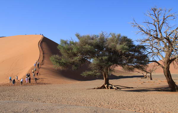 Namibia Sossusvlei